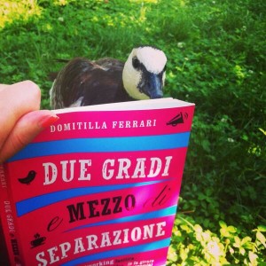 Due gradi e mezzo di separazione, foto di Roberta Callegaro